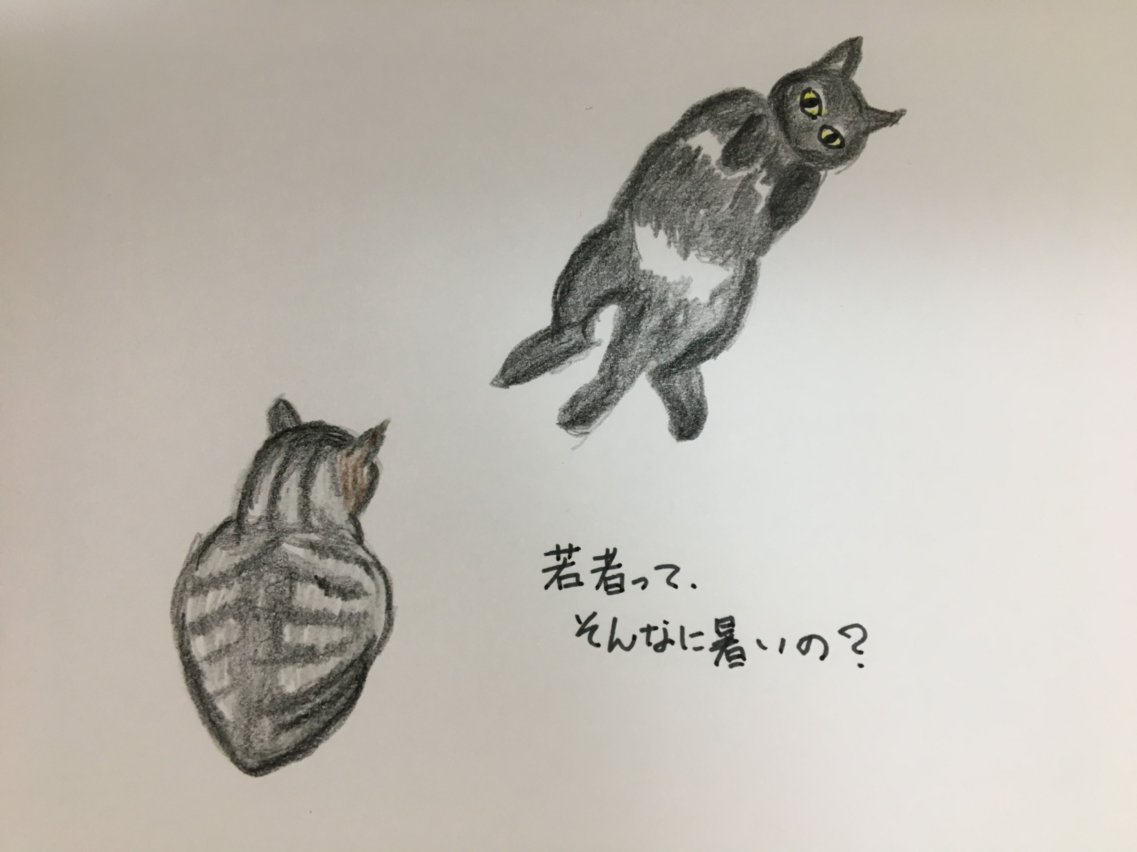 f:id:rokusuke7korobi:20200615211409j:plain