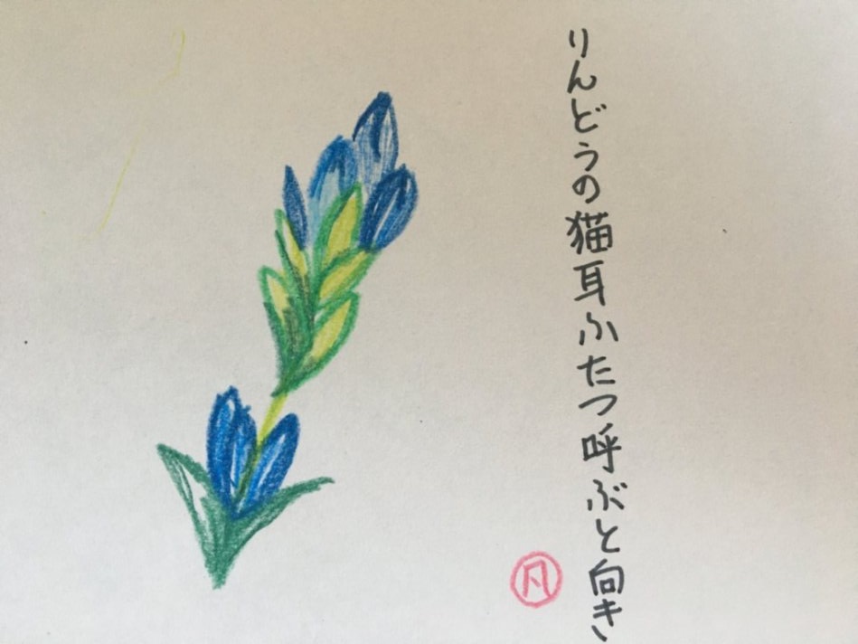 f:id:rokusuke7korobi:20200717181746j:plain