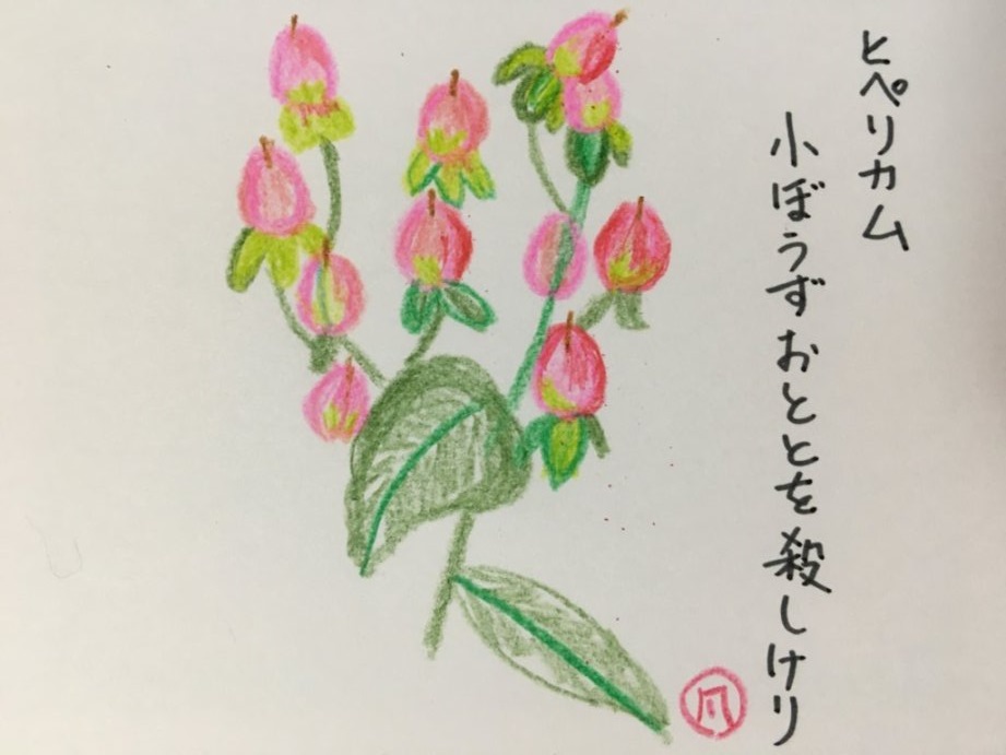 f:id:rokusuke7korobi:20200718185848j:plain f:id:rokusuke7korobi:20200718185848j:plain