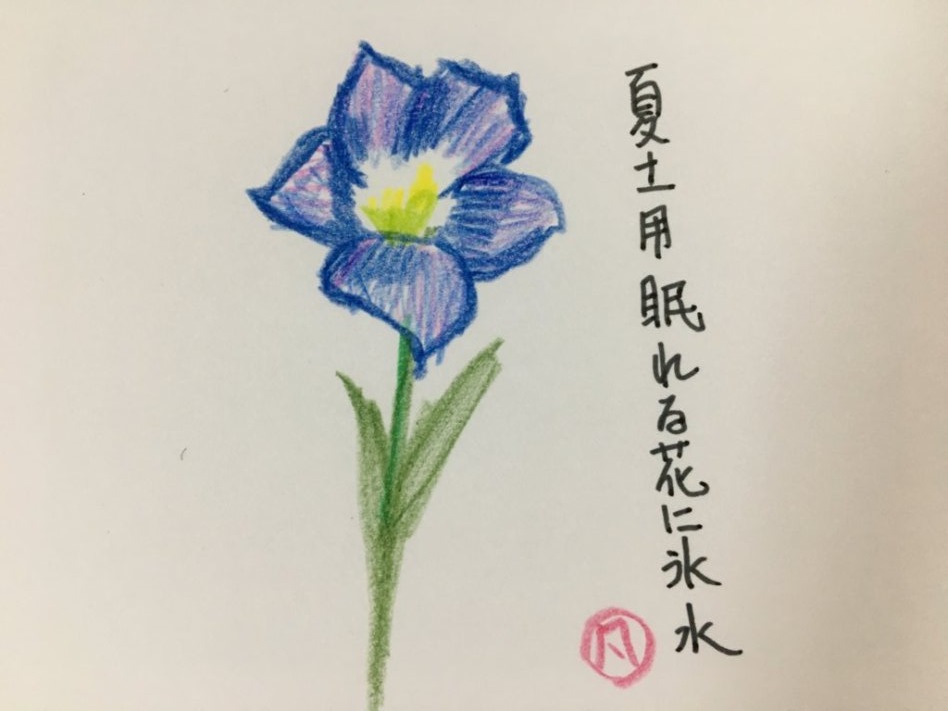 f:id:rokusuke7korobi:20200721231520j:plain