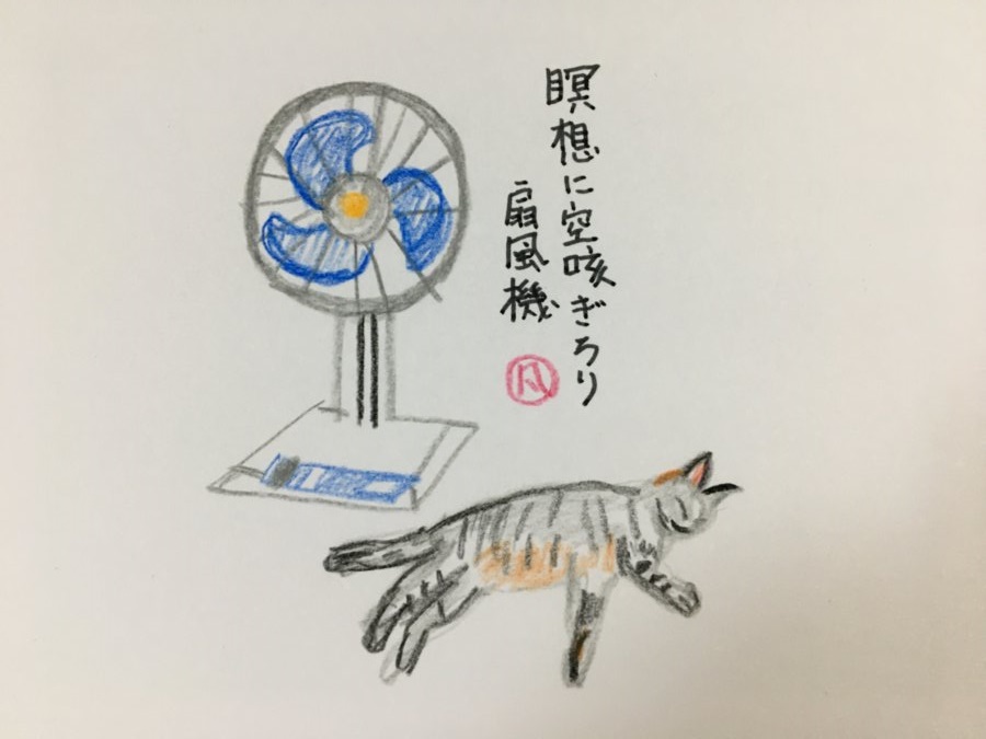 f:id:rokusuke7korobi:20200723213215j:plain