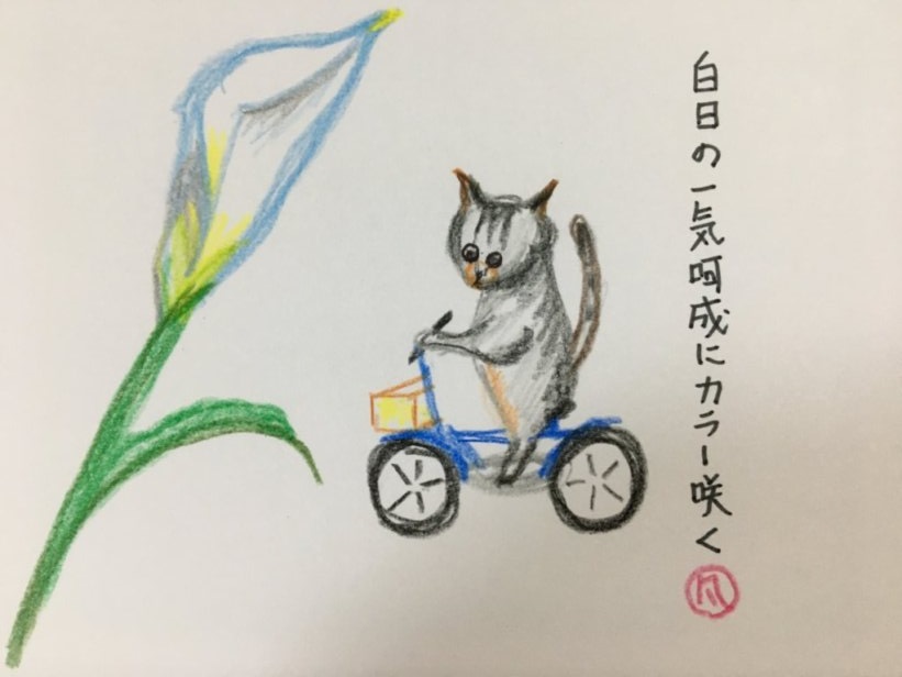 f:id:rokusuke7korobi:20200731214612j:plain