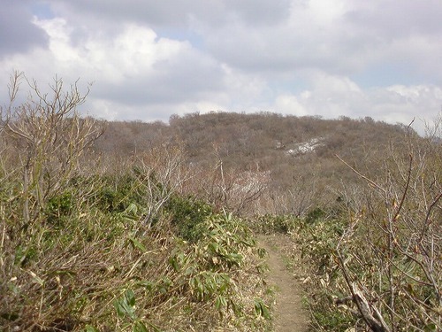 SN3D0100.jpg