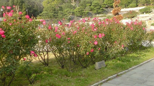 SN3D0179.jpg
