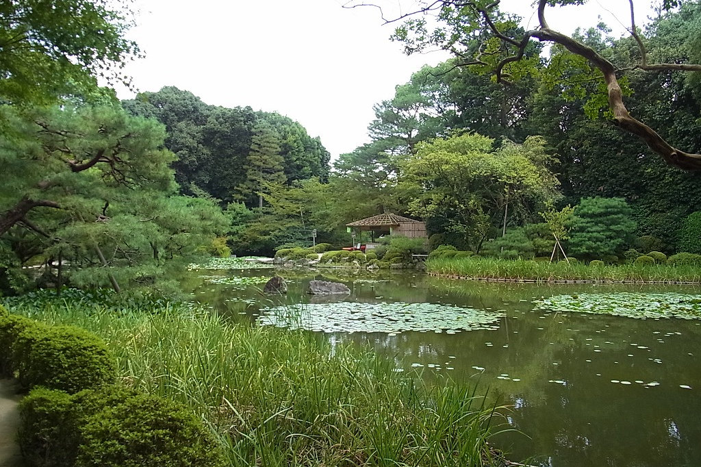 f:id:rokuzaemons:20190907074158j:plain f:id:rokuzaemons:20190907074158j:plain
