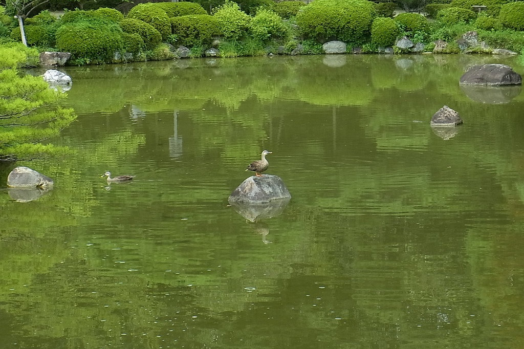 f:id:rokuzaemons:20190907080743j:plain f:id:rokuzaemons:20190907080743j:plain