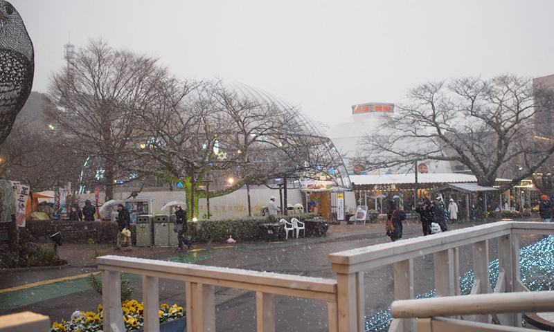 f:id:rokuzeudon:20150101221810j:plain