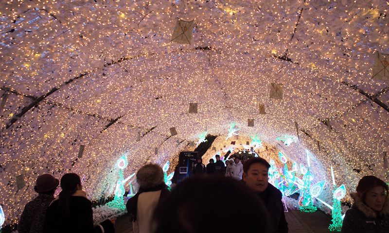 f:id:rokuzeudon:20150101222451j:plain