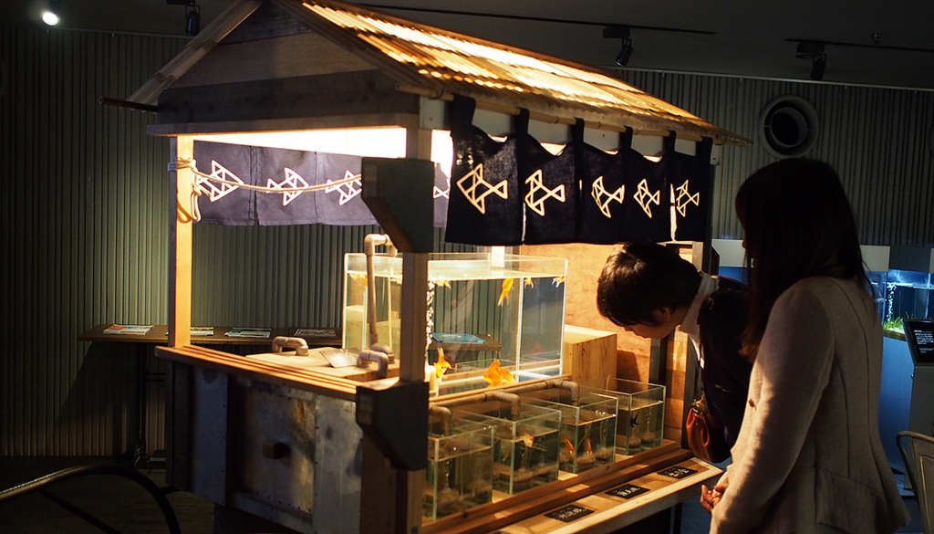 すみだ水族館 和の金魚ゾーン