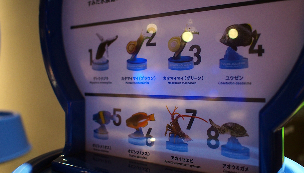 水族館ガチャのラインナップ