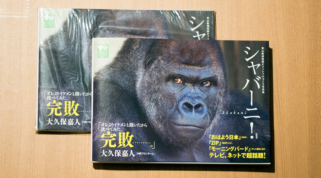 イケメンゴリラ シャバーニくんの写真集を買いました LOGzeudon