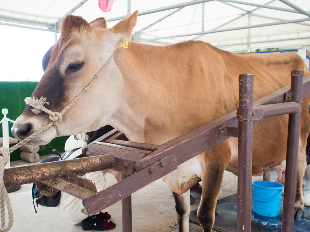 f:id:rokuzeudon:20160208155102j:plain