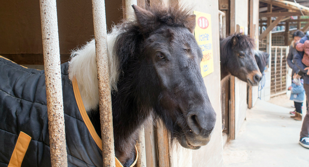 f:id:rokuzeudon:20160208155200j:plain