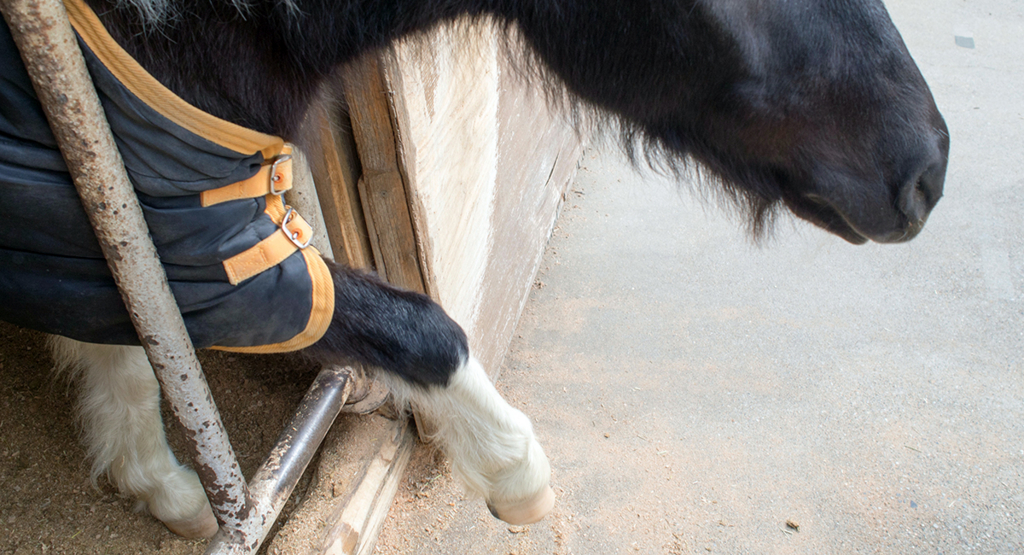 f:id:rokuzeudon:20160208155204j:plain