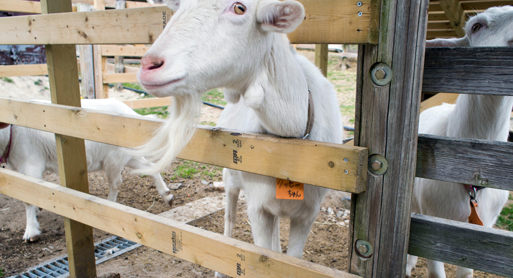 f:id:rokuzeudon:20160208155241j:plain