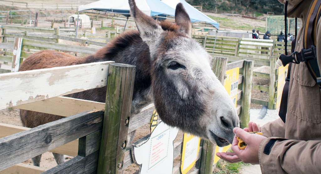 f:id:rokuzeudon:20160208155256j:plain