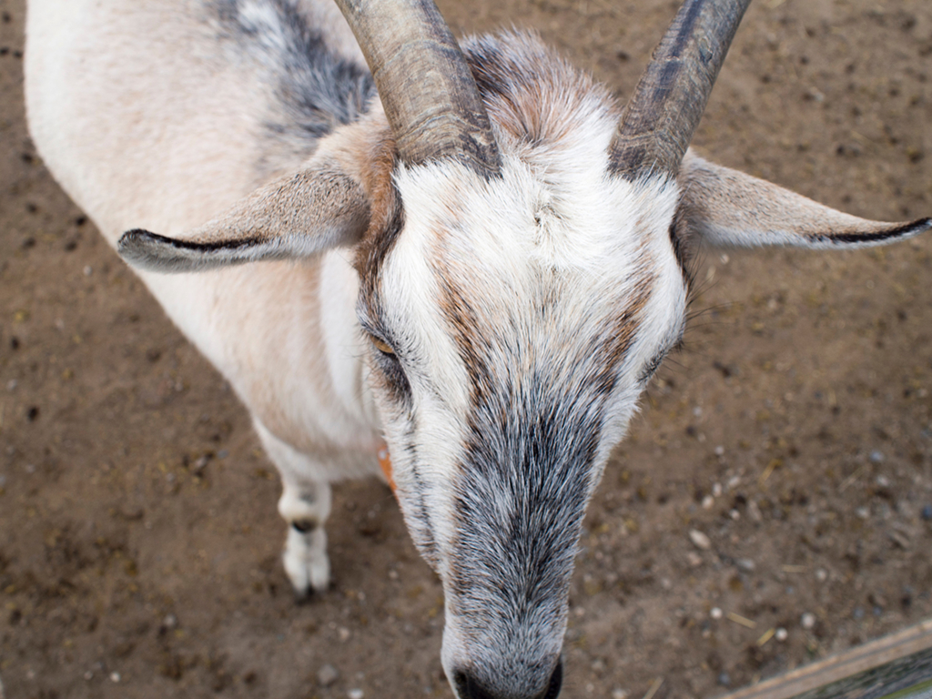 f:id:rokuzeudon:20160208155320j:plain