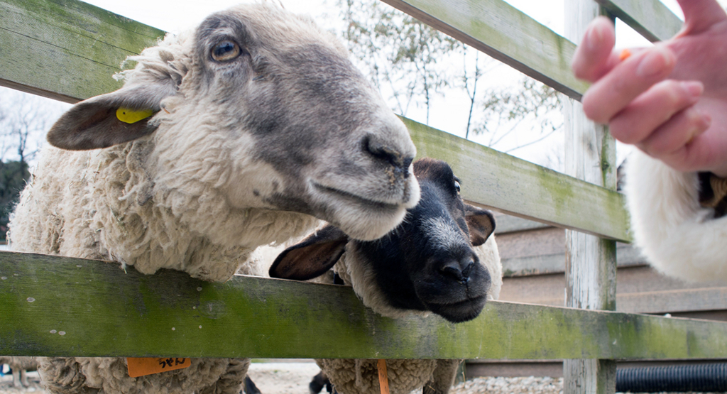 f:id:rokuzeudon:20160208155334j:plain