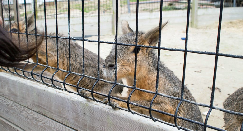 f:id:rokuzeudon:20160208155403j:plain