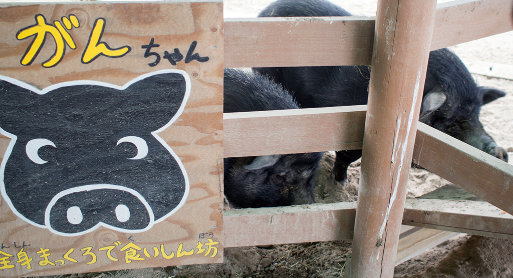 f:id:rokuzeudon:20160208155452j:plain