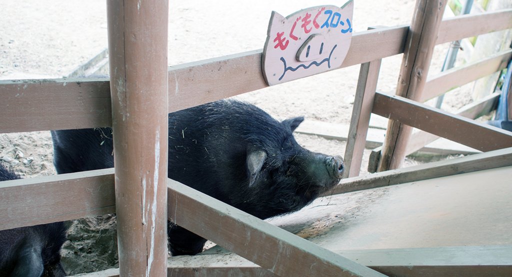 f:id:rokuzeudon:20160208155456j:plain