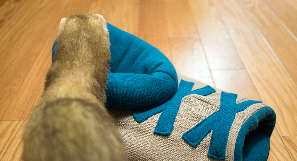 f:id:rokuzeudon:20161104062935j:plain