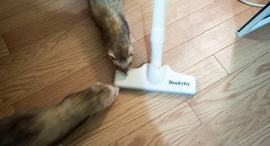 f:id:rokuzeudon:20161112012637j:plain