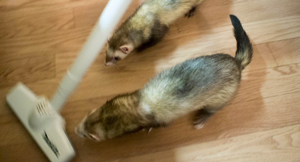 f:id:rokuzeudon:20161112012639j:plain