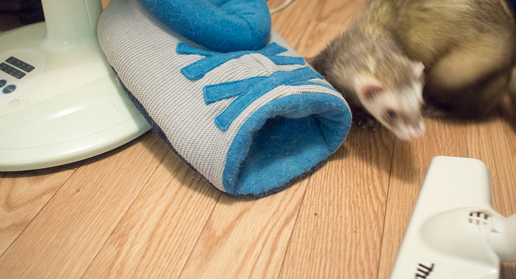 f:id:rokuzeudon:20161112012640j:plain