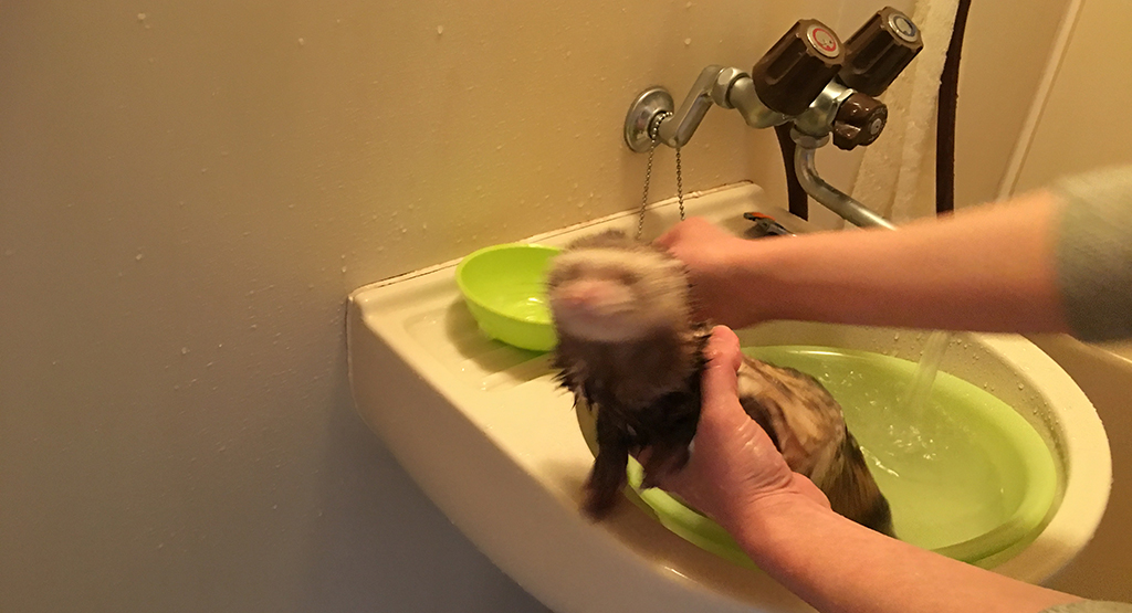 f:id:rokuzeudon:20161224160845j:plain