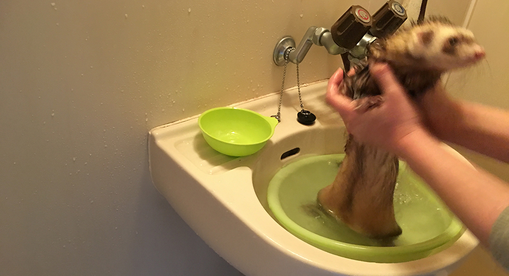 f:id:rokuzeudon:20161224160848j:plain