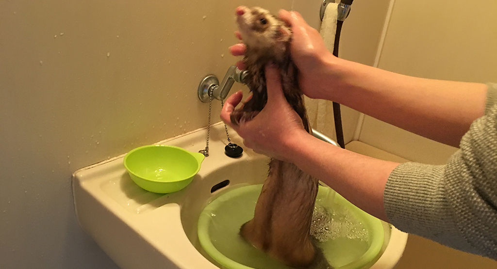 f:id:rokuzeudon:20161224160935j:plain