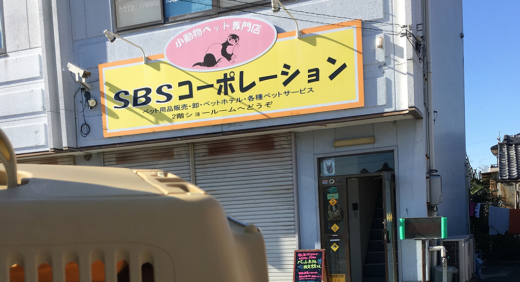 SBSコーポレーションに到着