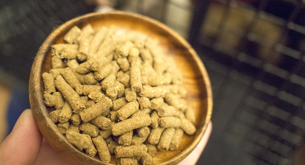 f:id:rokuzeudon:20170114182759j:plain