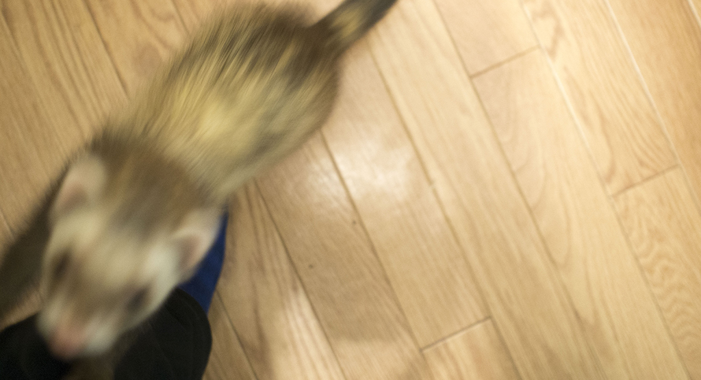 f:id:rokuzeudon:20170114183144j:plain