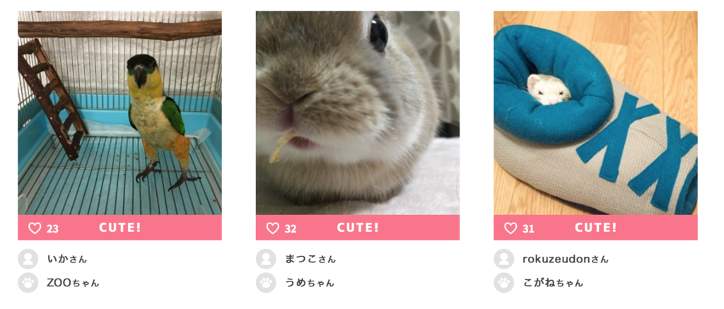 f:id:rokuzeudon:20170118072528p:plain