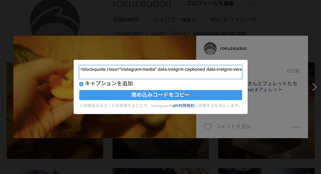 埋め込みコードのコピー画面