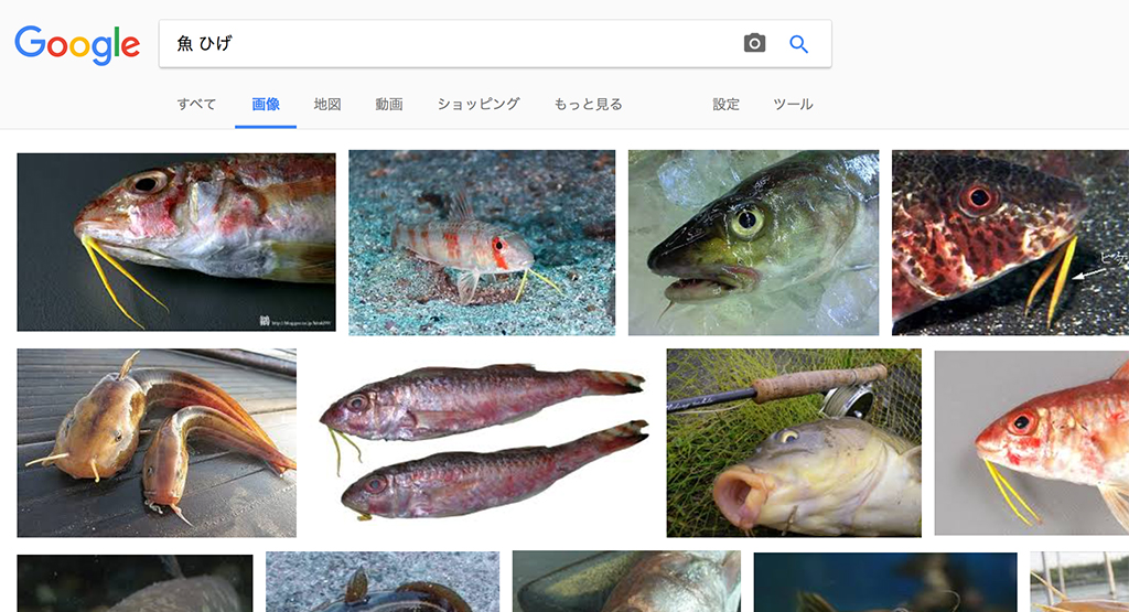 f:id:rokuzeudon:20170518195437j:plain