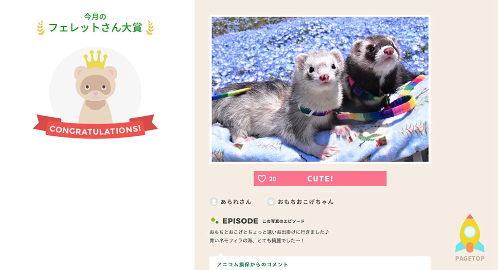 6月号の大賞 おもちおこげちゃん