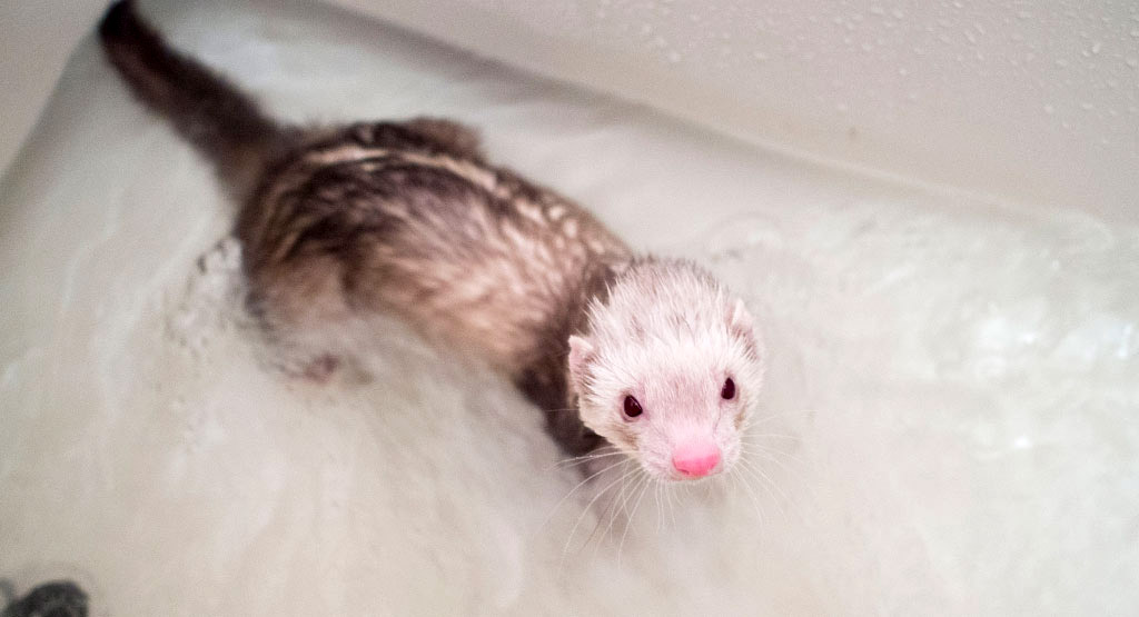 呆然とするこがねっち