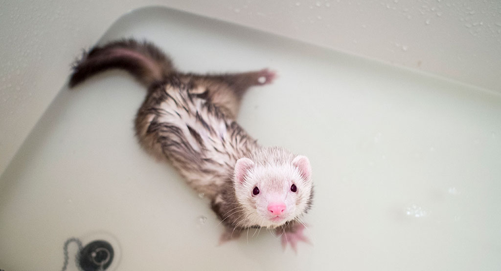 呆然とし続けるこがねっち