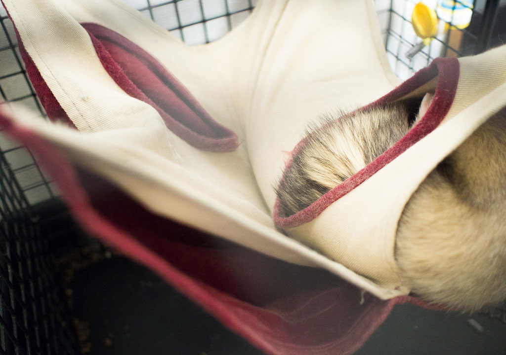 f:id:rokuzeudon:20171031012749j:plain