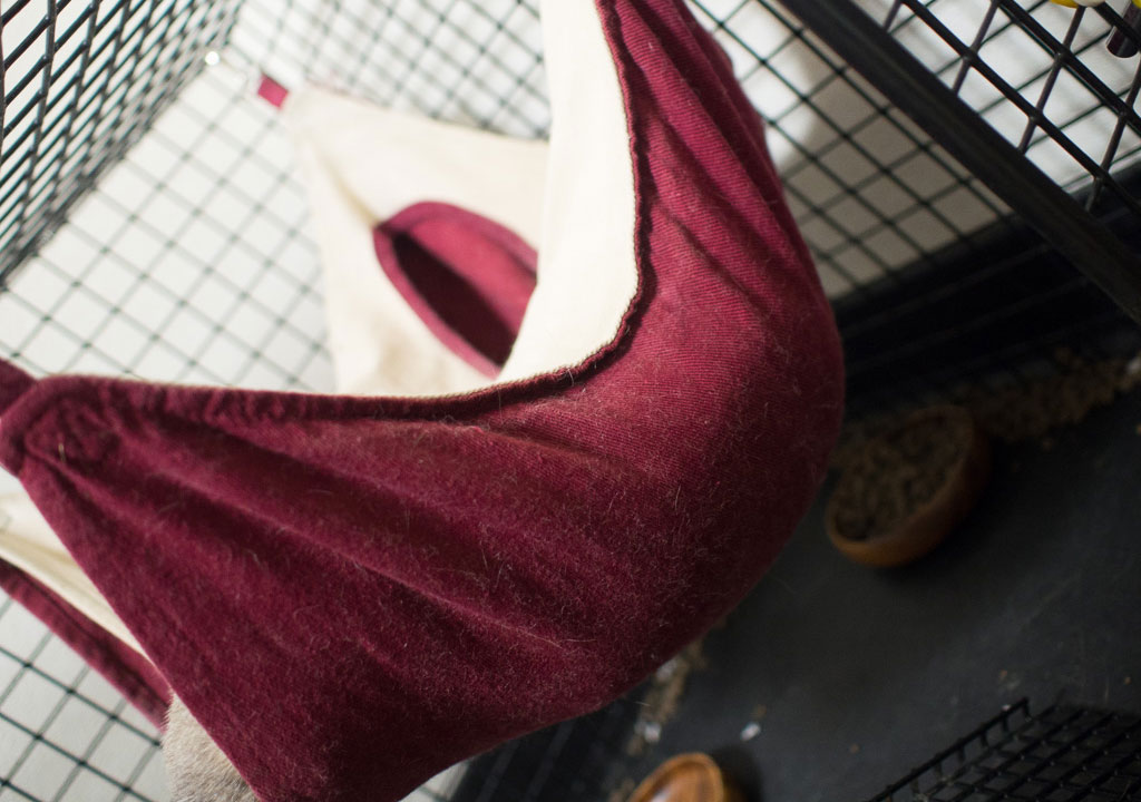 f:id:rokuzeudon:20171031012755j:plain