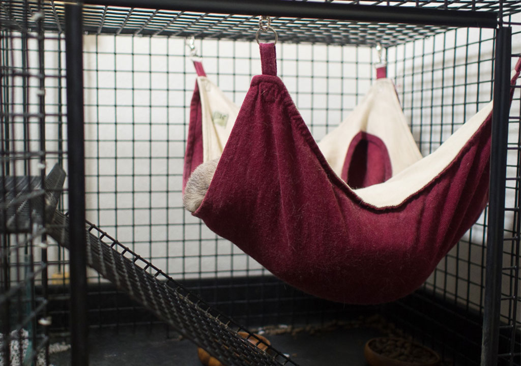 f:id:rokuzeudon:20171031012802j:plain