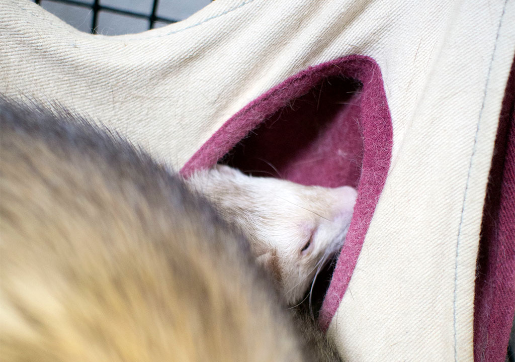 f:id:rokuzeudon:20171124025549j:plain