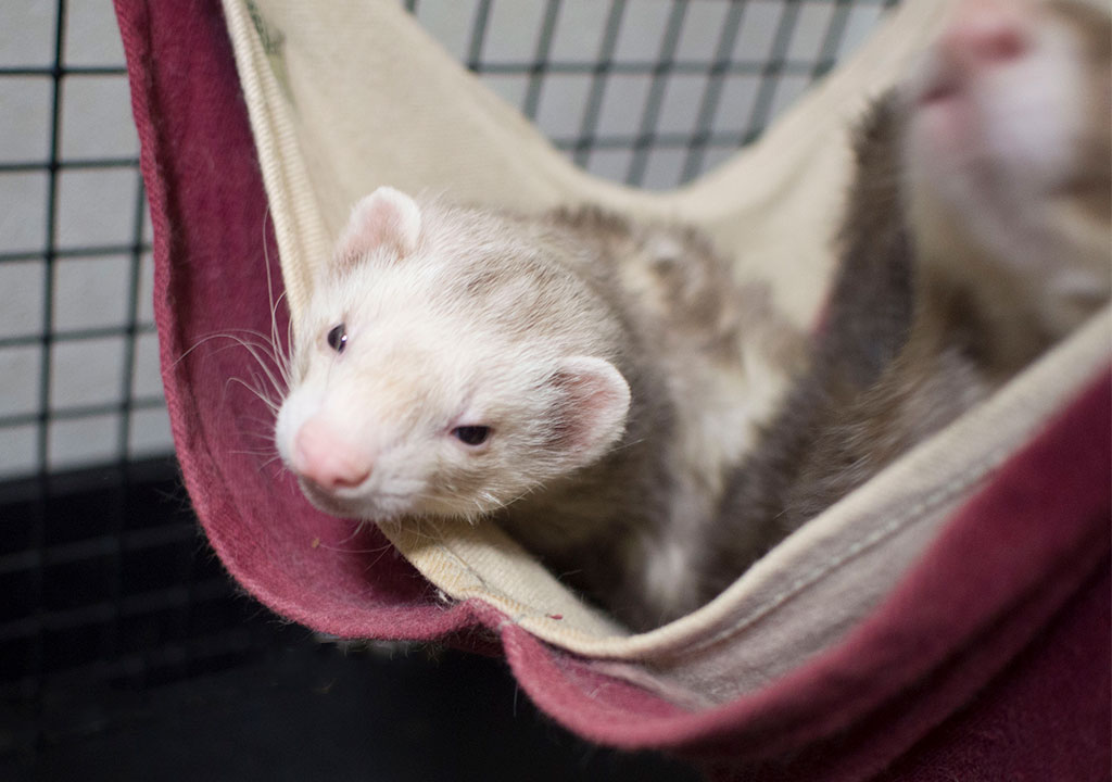 f:id:rokuzeudon:20171124025603j:plain