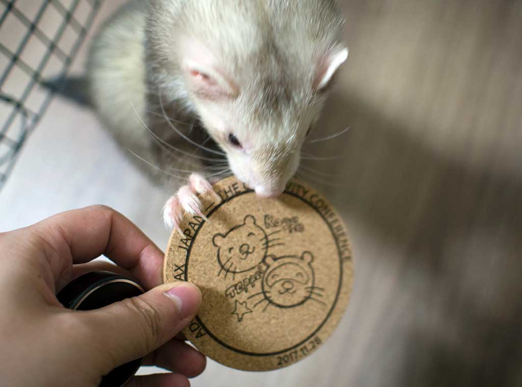 f:id:rokuzeudon:20171201033515j:plain