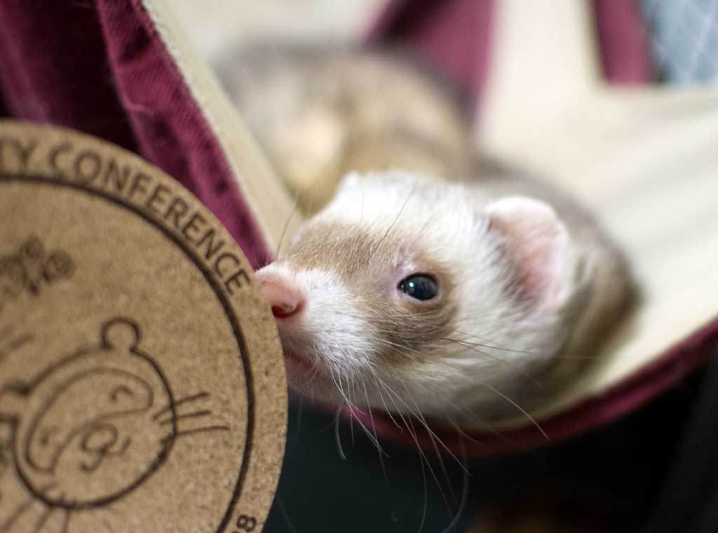 f:id:rokuzeudon:20171201033517j:plain