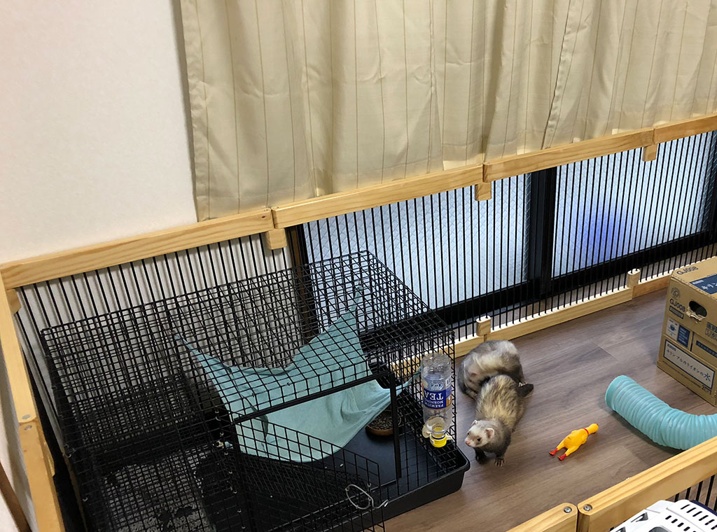 f:id:rokuzeudon:20171224000512j:plain