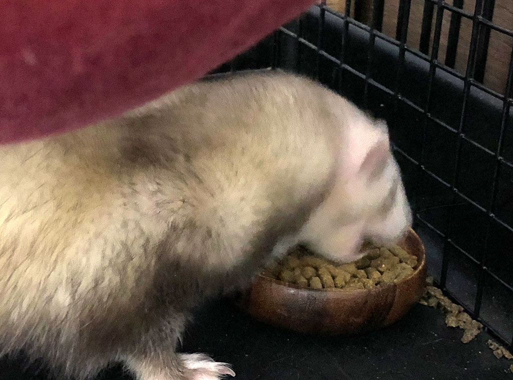 f:id:rokuzeudon:20180108170507j:plain